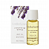 Linden Leaves Body Oil Absolute Dreams