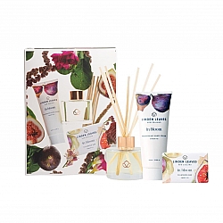 Linden Leaves Amber Fig Hands & Home Gift Set Linden Leaves Amber Fig Hands & Home Gift Set