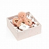 Jellycat  奥德尔小章鱼礼盒 OD2SET